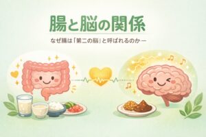 腸と脳の関係を示すイラスト。発酵食品と笑顔の腸、セロトニン分子とつながる脳を描き、腸が第二の脳と呼ばれる理由を表現している。